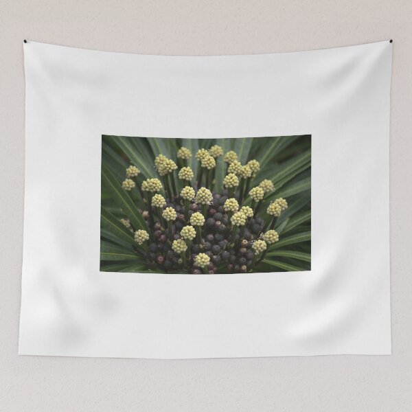 Item preview, Seed and Flowers designed and sold by Mike Cicero.
