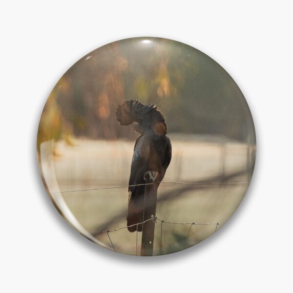 Item preview, Red Tailed Black Cockatoo designed and sold by Koishi Photography.