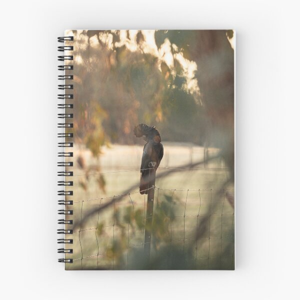 Item preview, Red Tailed Black Cockatoo designed and sold by Koishi Photography.