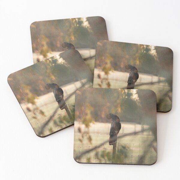Item preview, Red Tailed Black Cockatoo designed and sold by Koishi Photography.