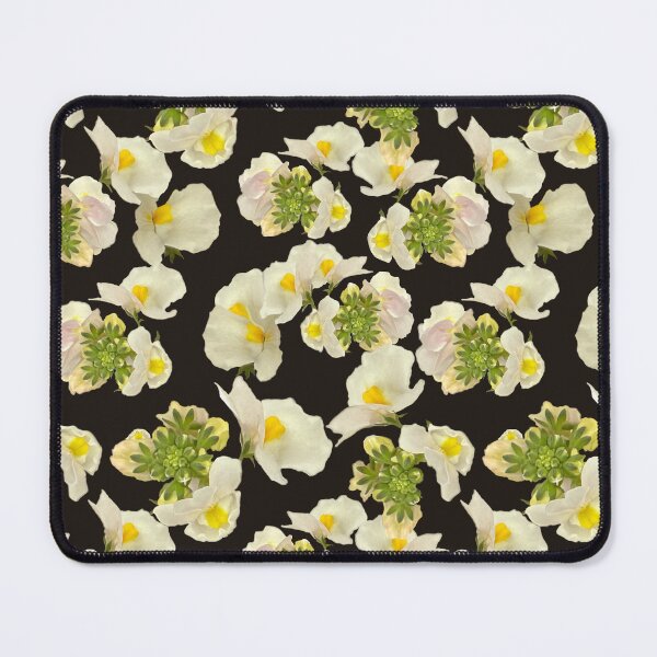 Item preview, White Nemesia on Black designed and sold by TerryFarrow4.
