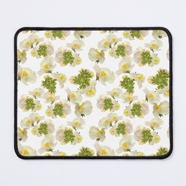 Item preview, Nemesia on White designed and sold by TerryFarrow4.