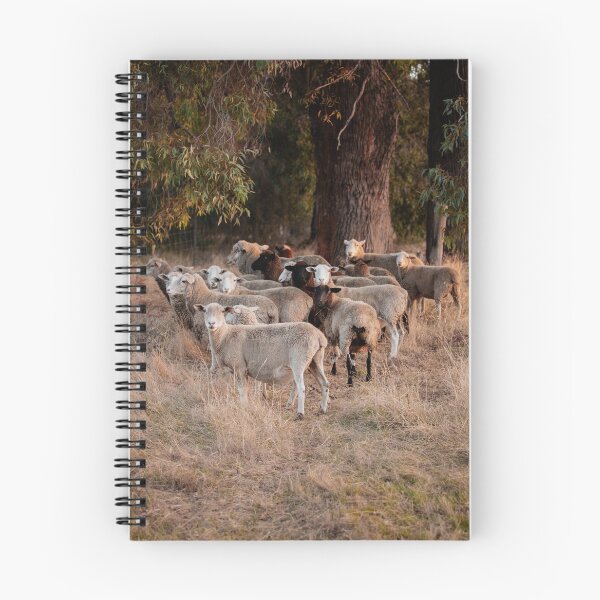 Item preview, Posse of Sheep designed and sold by Koishi Photography.