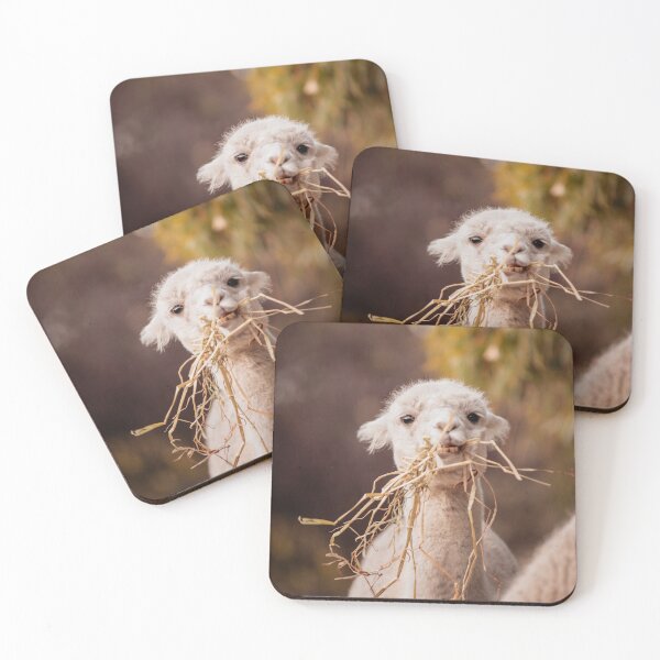 Item preview, Carl the Alpaca designed and sold by Koishi Photography.
