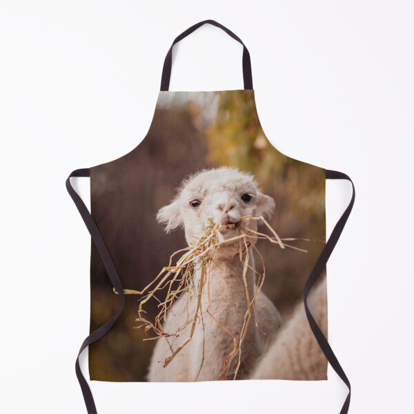 Item preview, Carl the Alpaca designed and sold by Koishi Photography.