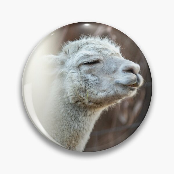 Item preview, Holly the Alpaca designed and sold by Koishi Photography.
