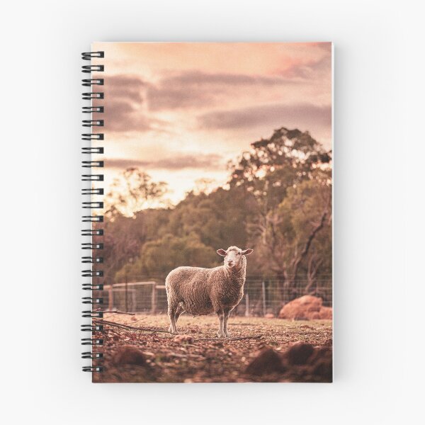 Item preview, Stacy the Sheep designed and sold by Koishi Photography.