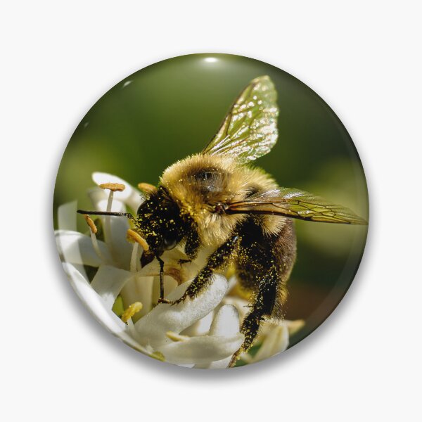 Item preview, Gilded with Gold — Bee with Bokeh designed and sold by Susarellis.