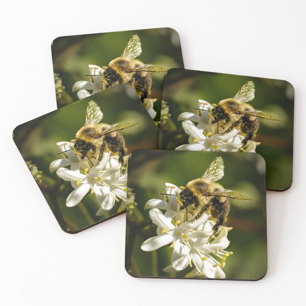 Item preview, Gilded with Gold — Bee with Bokeh designed and sold by Susarellis.