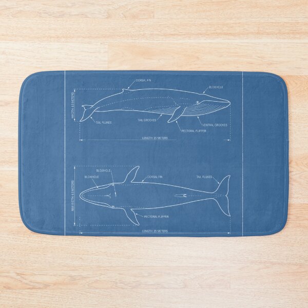 Item preview, Blue Whale Technical Blueprint - Marine Biology Schematic designed and sold by MarVan-Prints.