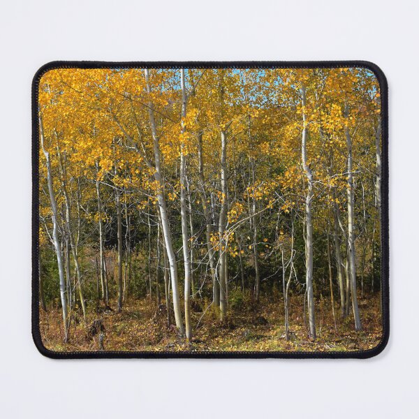Item preview, Vermont Poplars in Autumn Color designed and sold by Wayne King.
