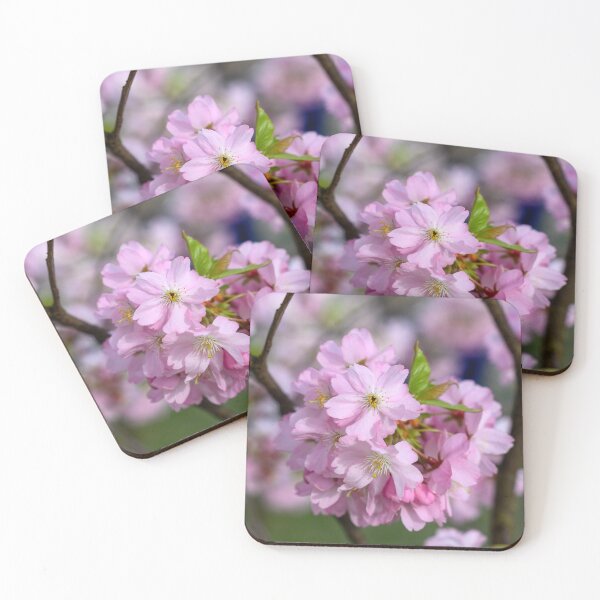 Item preview, Delicate Pink Cherry Blossom designed and sold by Kasia Design.