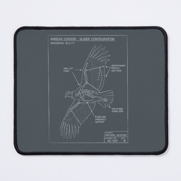 Item preview, Andean Condor Aeronautical Blueprint - Glider Bird Schematic designed and sold by MarVan-Prints.