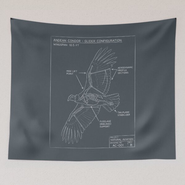 Item preview, Andean Condor Aeronautical Blueprint - Glider Bird Schematic designed and sold by MarVan-Prints.