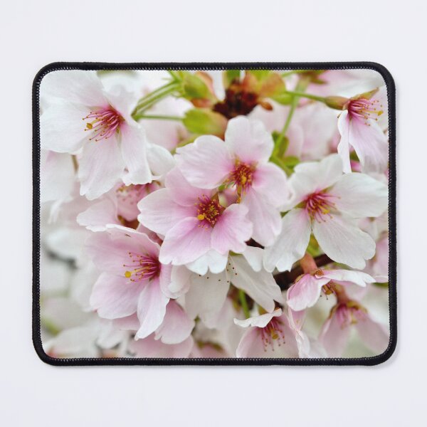Item preview, Charming spring peach flowers designed and sold by AsahiNoAme.