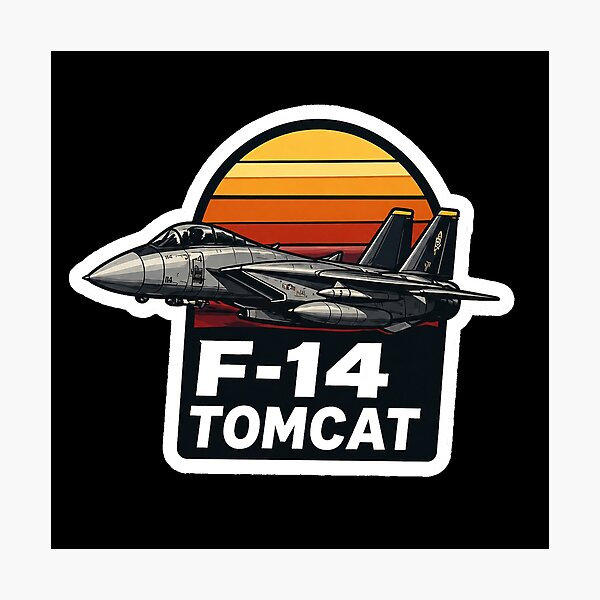Item preview, F-14 Tomcat designed and sold by devinswy.