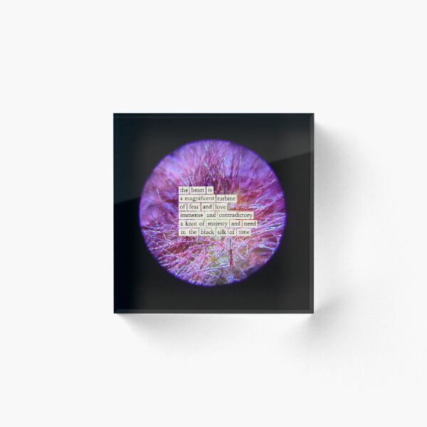 Item preview, Street Library Divination # 5 designed and sold by mariapopova.