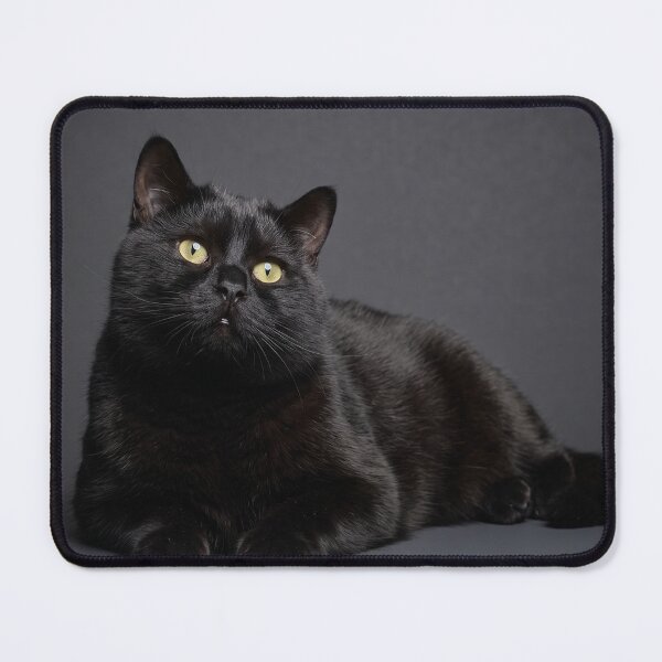 Item preview, Midnight Gaze  designed and sold by RavenNoirStudio.