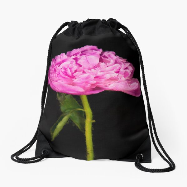 Aperçu de l'œuvre Monsieur Jules Elie Pivoine Rose créée et vendue par daphsam.