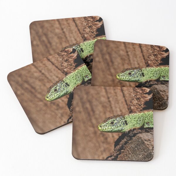 Item preview, Sand Lizard II designed and sold by Eidetic Photos.