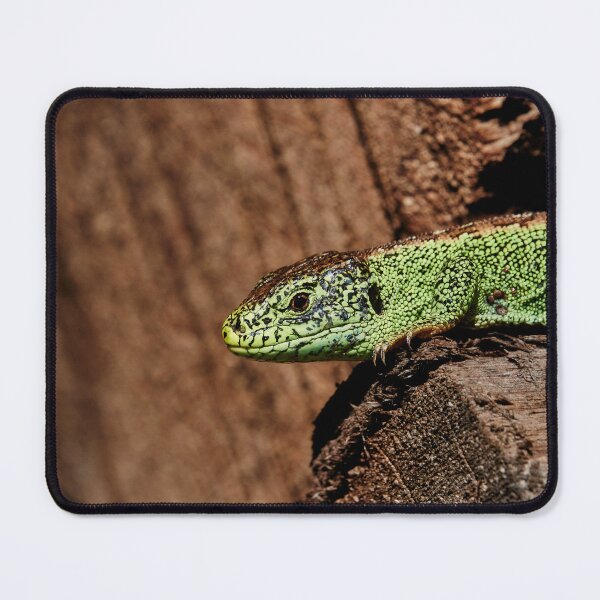 Item preview, Sand Lizard II designed and sold by Eidetic Photos.