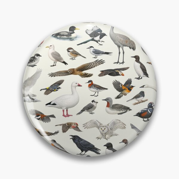 Item preview, Birds of Alaska Retro Style Ornithology Identification Chart designed and sold by kakarikihill.