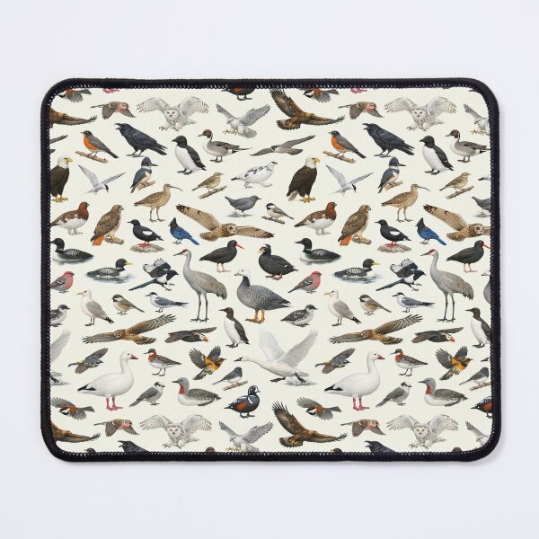 Item preview, Birds of Alaska Retro Style Ornithology Identification Chart designed and sold by kakarikihill.