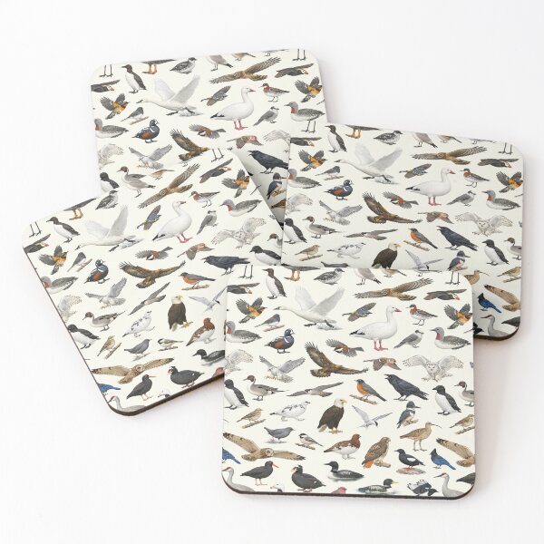 Item preview, Birds of Alaska Retro Style Ornithology Identification Chart designed and sold by kakarikihill.