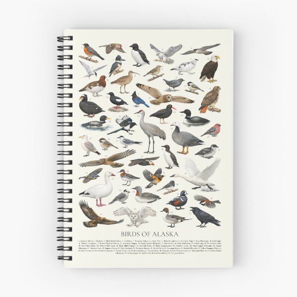 Item preview, Birds of Alaska Retro Style Ornithology Identification Chart designed and sold by kakarikihill.