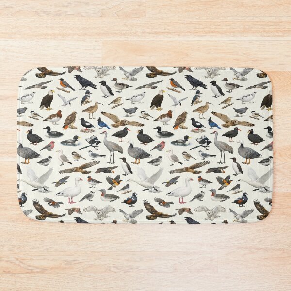 Item preview, Birds of Alaska Retro Style Ornithology Identification Chart designed and sold by kakarikihill.