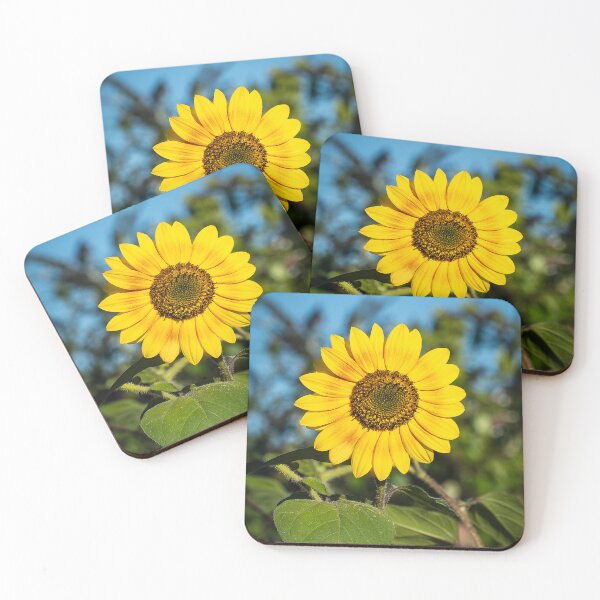 Item preview, A Single Sunflower at the Height of Summer designed and sold by Susarellis.