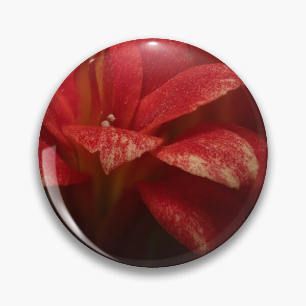 Item preview, Velvet Red — Double Kalanchoe Flowers Up Close designed and sold by Rabee Khalil Photography.