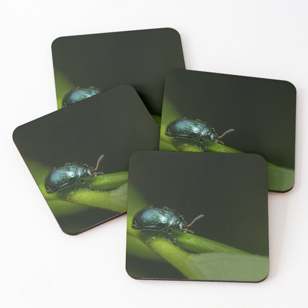 Item preview, Jewel of the Garden — Iridescent Green Beetle Up Close designed and sold by Rabee Khalil Photography.