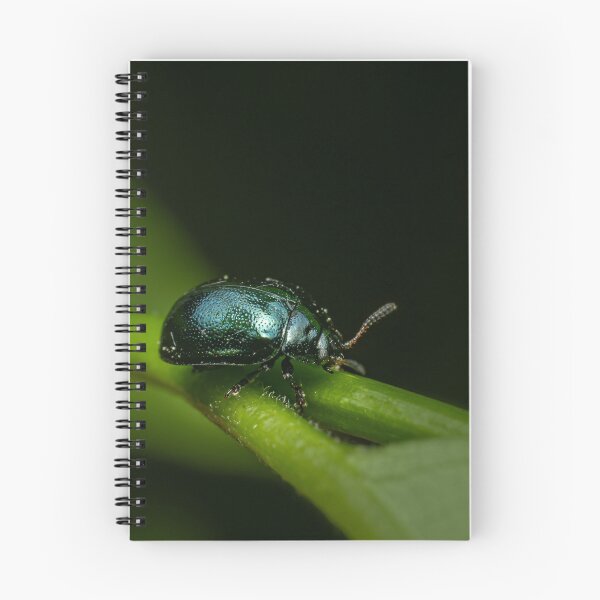 Item preview, Jewel of the Garden — Iridescent Green Beetle Up Close designed and sold by Rabee Khalil Photography.