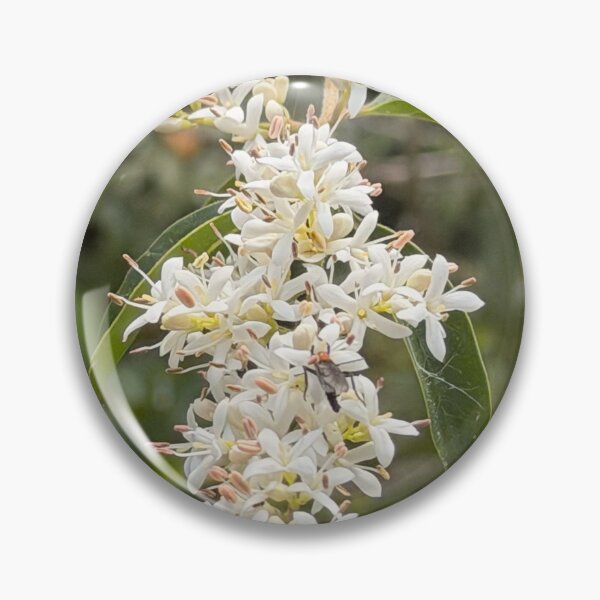 Item preview, Love Bugs in Seasonal Swarm Flight. designed and sold by Pearls1.