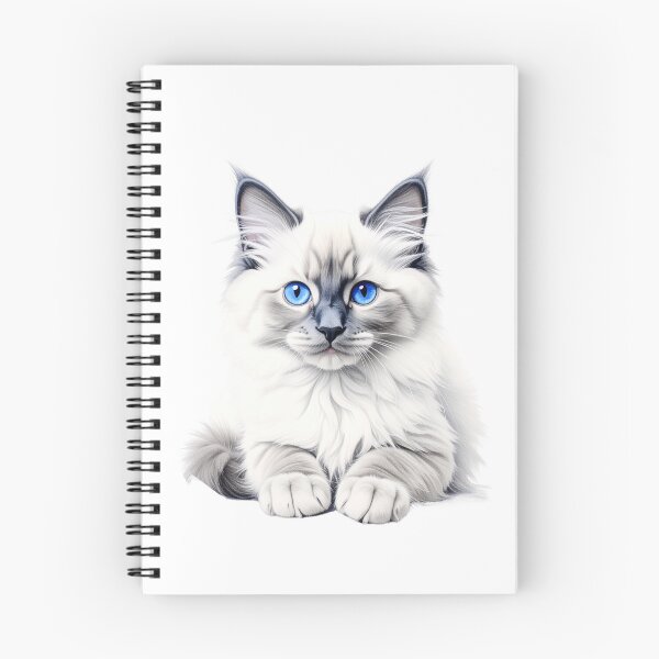 Artikelvorschau, Elegante Illustration einer Blue Point Ragdoll-Katze | Flauschiges Kätzchen mit blauen Augen | Realistisches Haustierporträt entworfen und verkauft von SabraDD.