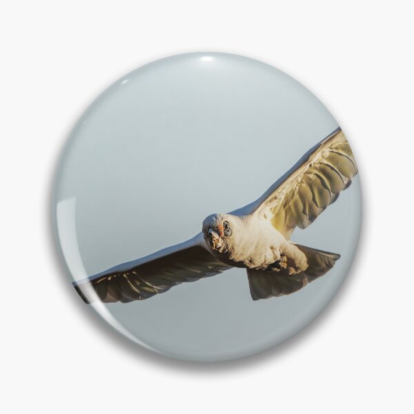Item preview, Long-billed corella designed and sold by robdanimalphotography.