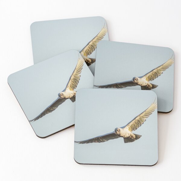 Item preview, Long-billed corella designed and sold by robdanimalphotography.