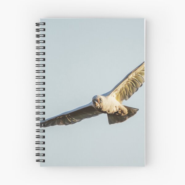 Item preview, Long-billed corella designed and sold by robdwildlife.