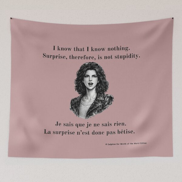 Item preview, I know that I know nothing. (+French) designed and sold by Words of the World Edition.