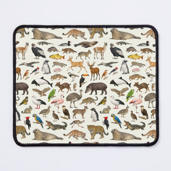 Item preview, Animals of Argentina Retro Wildlife Identification Chart designed and sold by kakarikihill.
