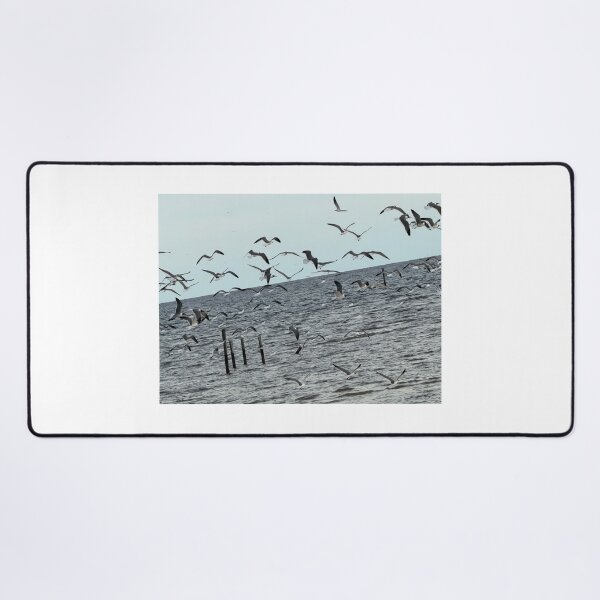 Item preview, Seagulls by the Shore: Coastal Birds in Flight. designed and sold by Pearls1.