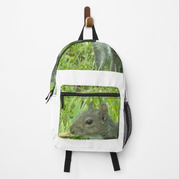 Item preview, Grey Squirrel in Nature: Curious and Clever Wildlife. designed and sold by Pearls1.