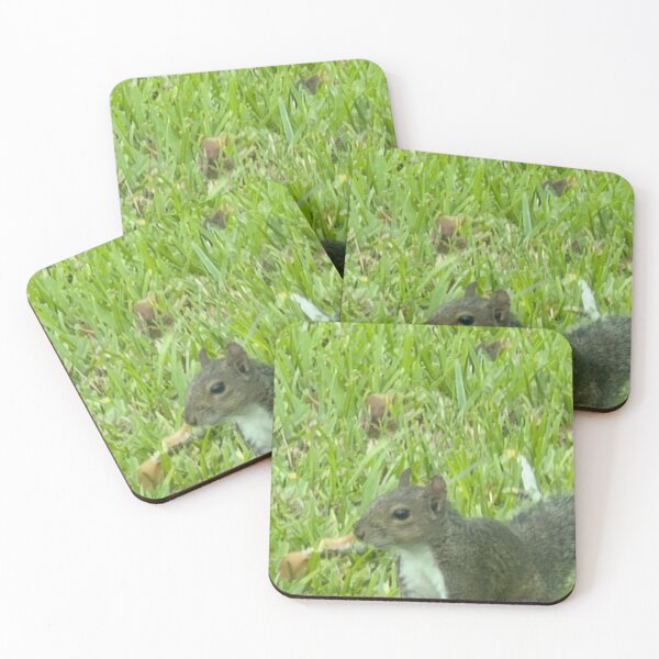 Item preview, Grey Squirrel in Nature: Curious and Clever Wildlife. designed and sold by Pearls1.