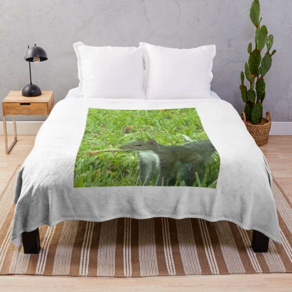 Item preview, Grey Squirrel in Nature: Curious and Clever Wildlife. designed and sold by Pearls1.
