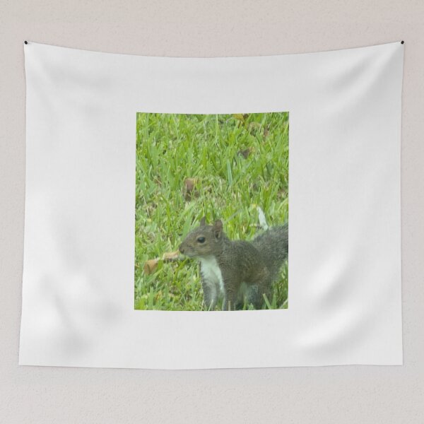 Item preview, Grey Squirrel in Nature: Curious and Clever Wildlife. designed and sold by Pearls1.