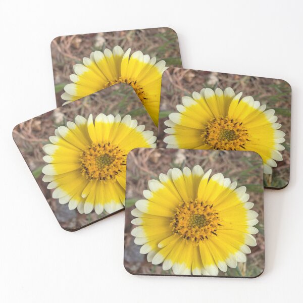 Item preview, Golden Moment in a Flower  designed and sold by Betsy Phillips.