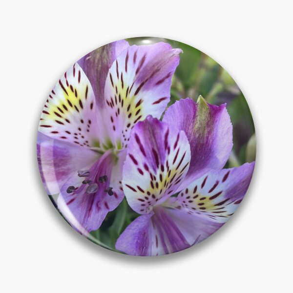 Item preview, Purple Alstroemeria Flower Photography designed and sold by Be Captured by Brittany Emma.