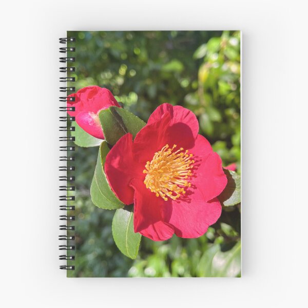 Item preview, Red Camellia Bloom Botanical Photography designed and sold by Be Captured by Brittany Emma.