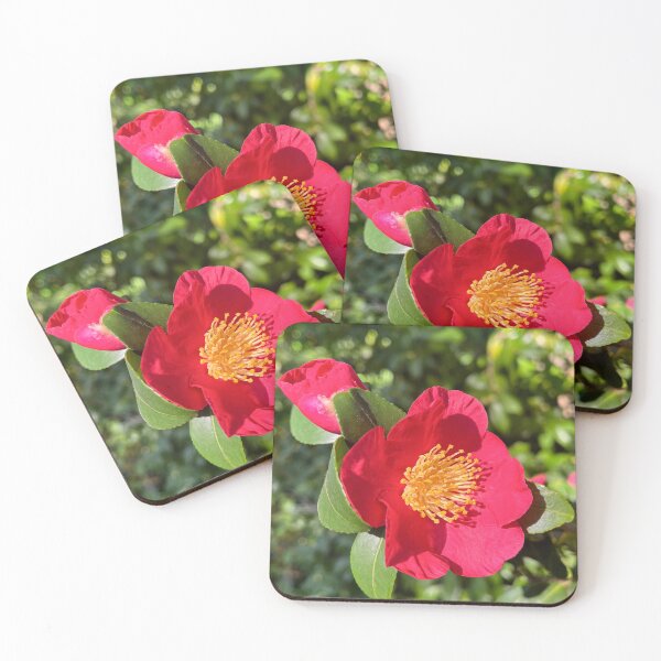 Item preview, Red Camellia Bloom Botanical Photography designed and sold by Be Captured by Brittany Emma.